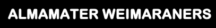 Almamater Weimaraners